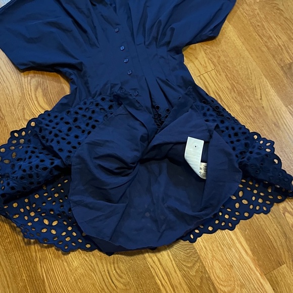 Anthropologie x Exquise The Tobie Button-Front Pleated Mini Shirt Dress XS NWT - Picture 11 of 12